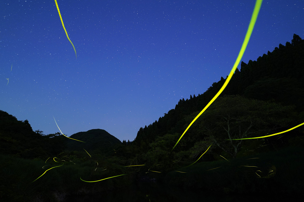 星空に舞う