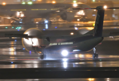 雨のANA WINGS