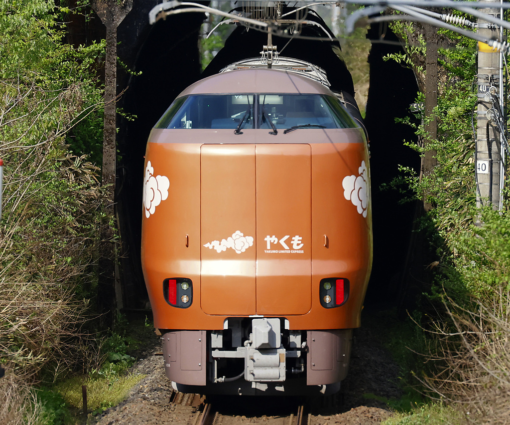 新型やくも