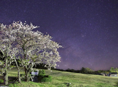 大山桝水高原の夜