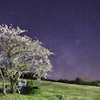 大山桝水高原の夜