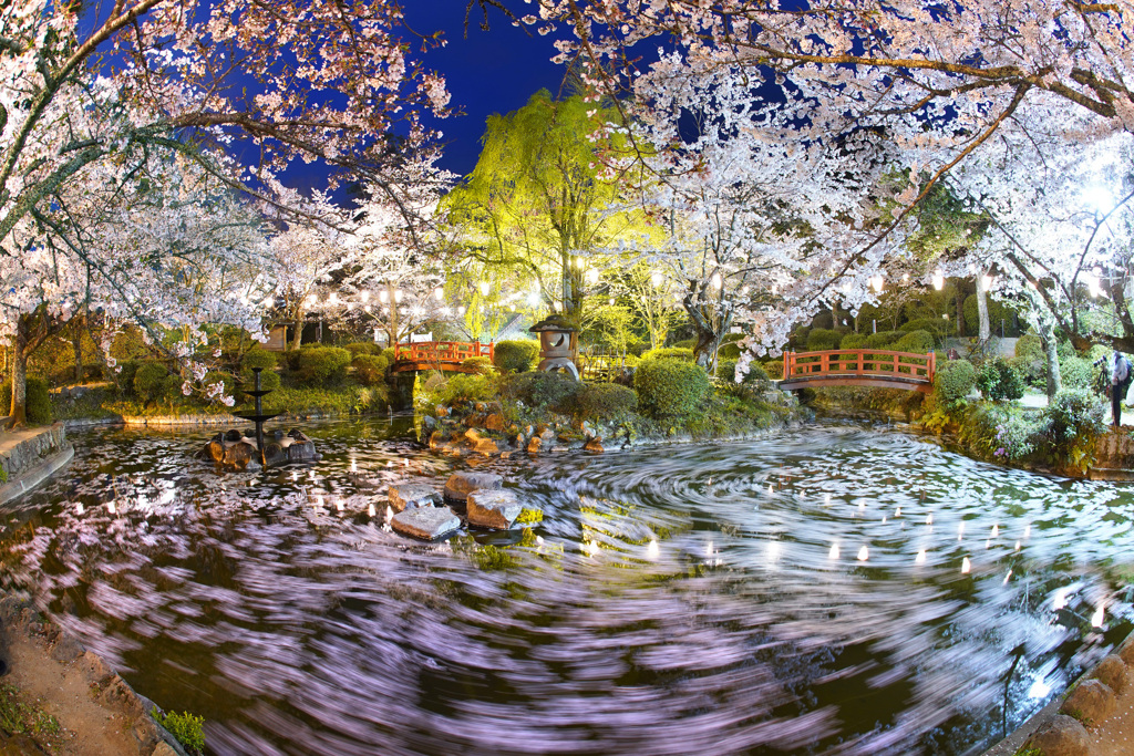 落花の流れ