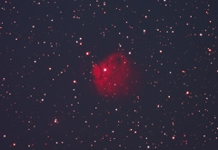 赤いブタ星雲