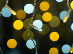 花回廊イルミネーション