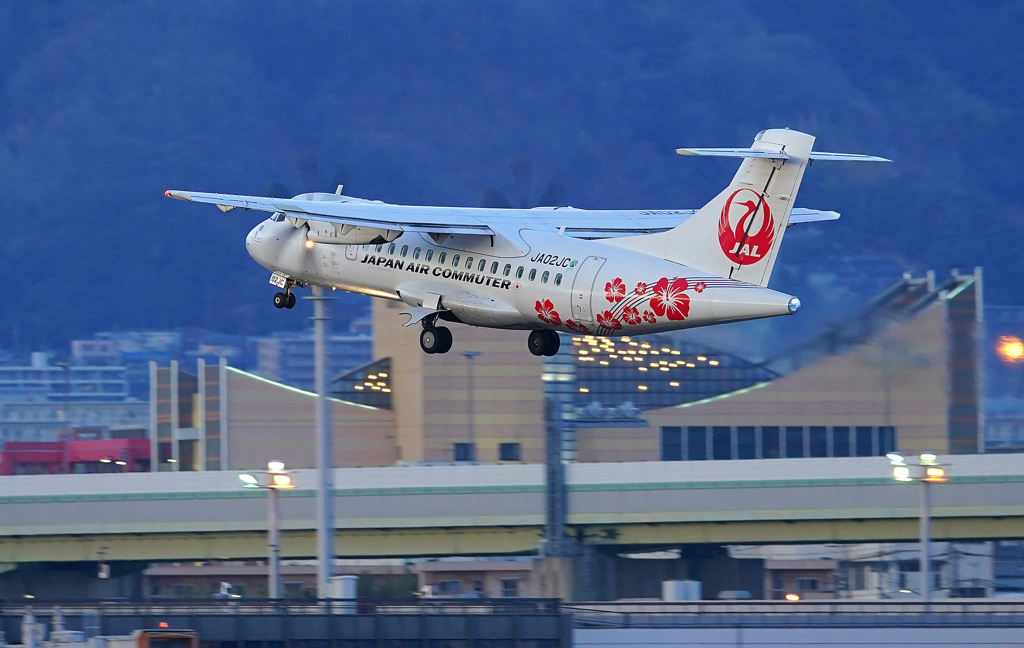 ATR-42 ハイビスカス