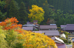 晩秋の里山