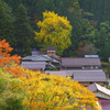 晩秋の里山