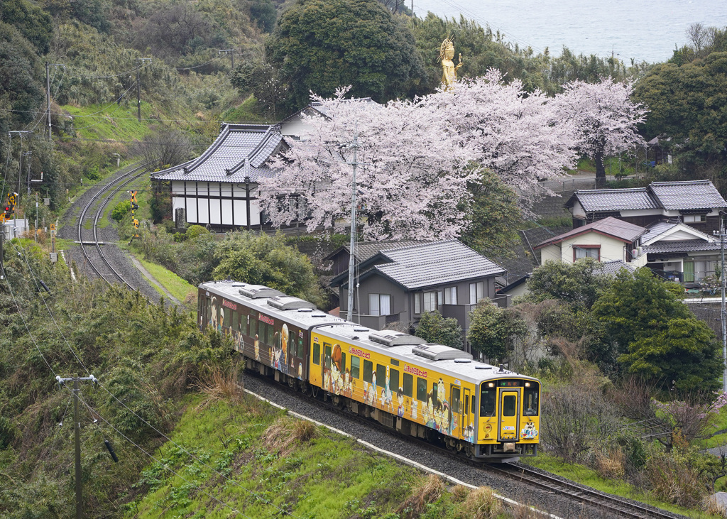 大宝寺の桜とコナン列車