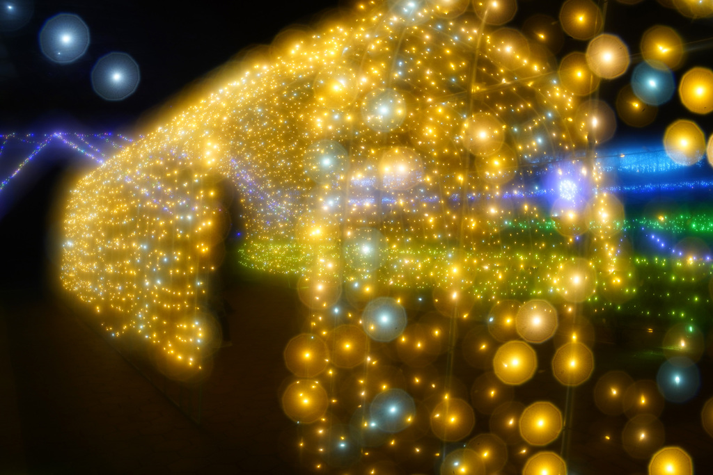 花回廊イルミネーション