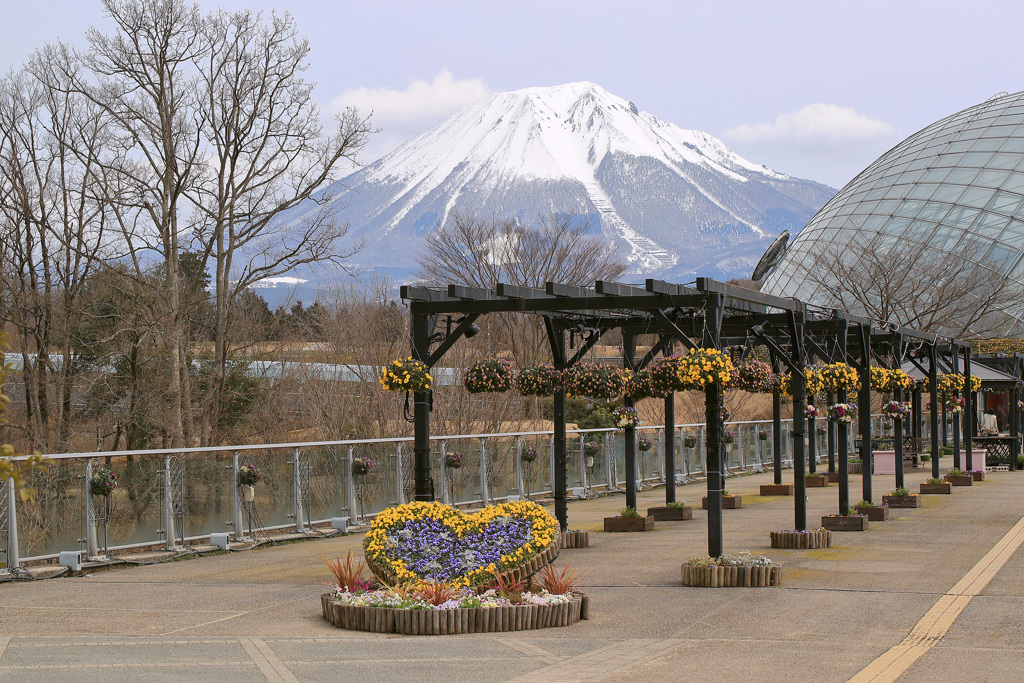 とっとり花回廊と大山