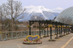 とっとり花回廊と大山