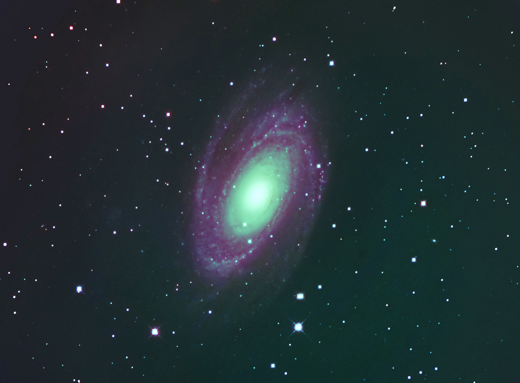 M81