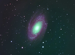 M81