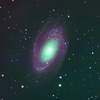 M81