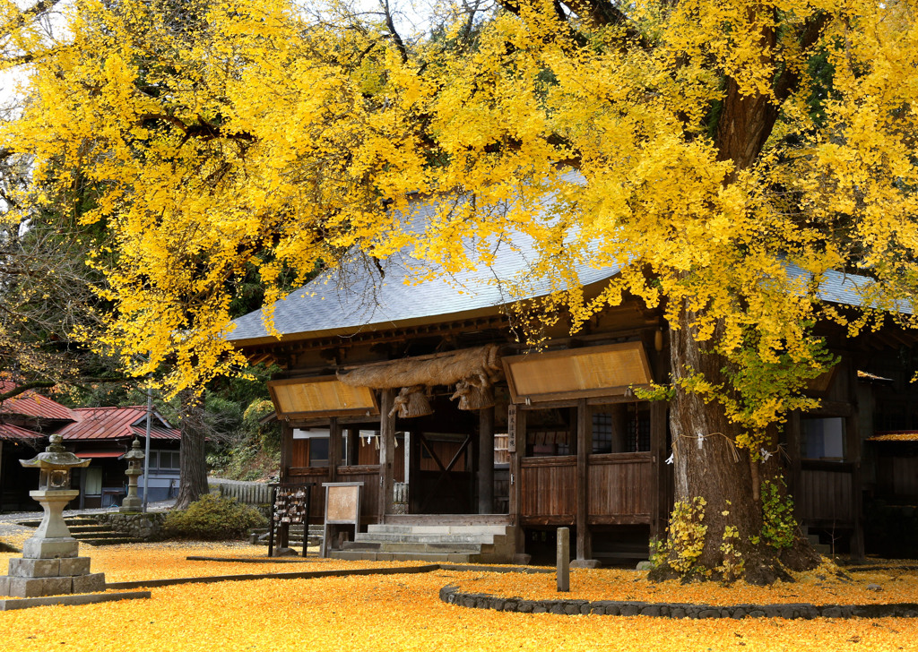 晩秋の福田神社
