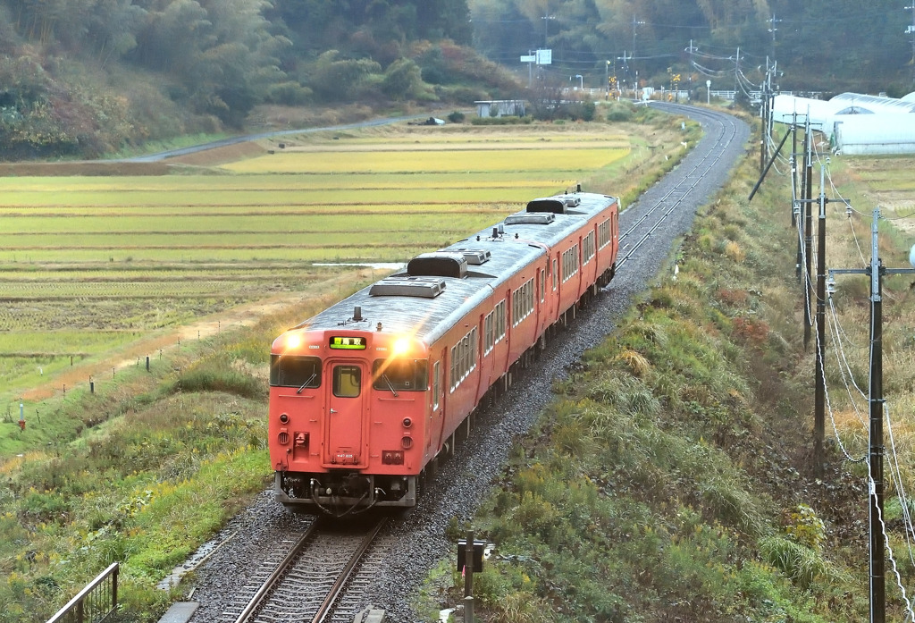キハ47タラコ鳥取行き