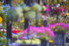 パステル色の花壇