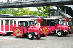 とっとり花回廊
