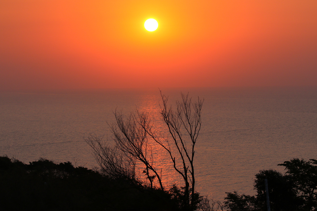 ハワイ馬ノ山夕暮れ