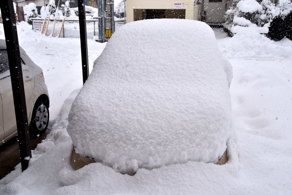 昨晩の積雪