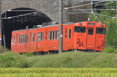 タラコ列車出雲市行き