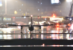 DHC-8到着