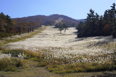 晩秋の大山スキー場