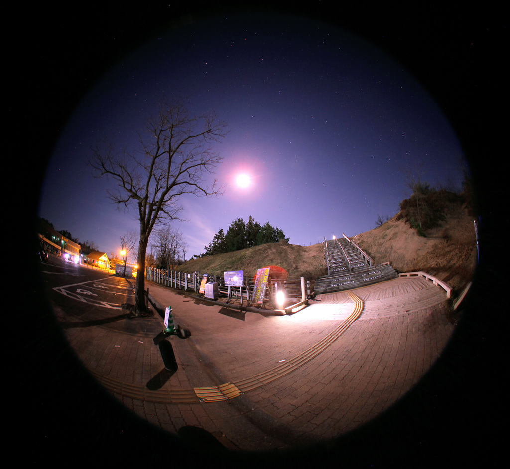月夜の砂丘入り口