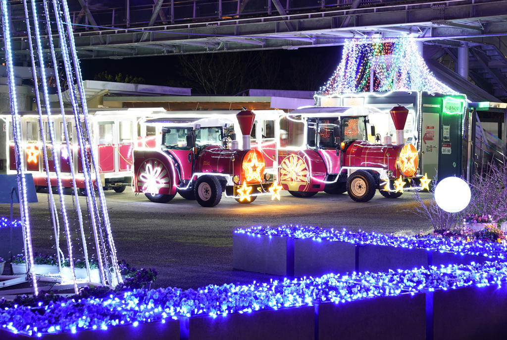 花回廊イルミネーション