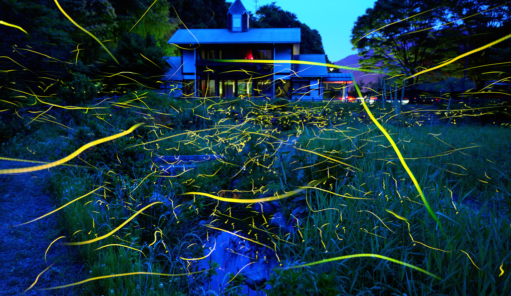 せせらぎ公園の夜