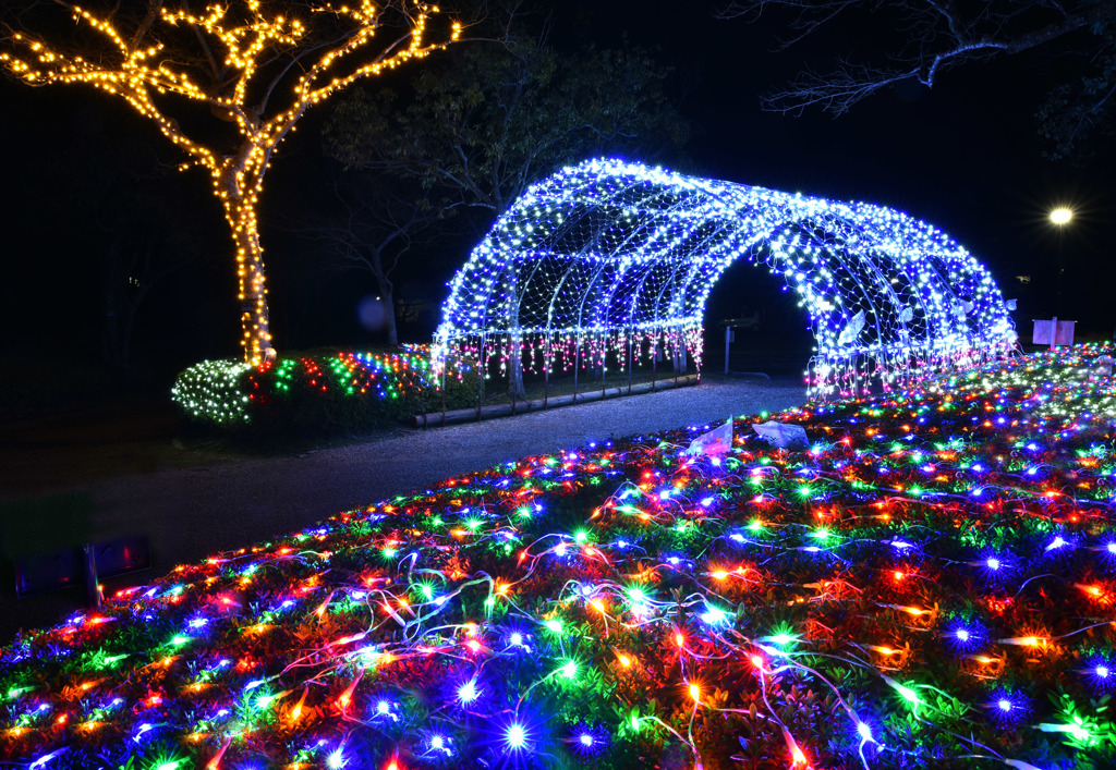 あやめ池公園のイルミネーション
