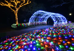 あやめ池公園のイルミネーション