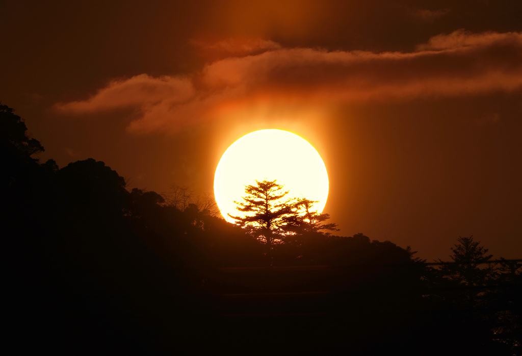 夕陽