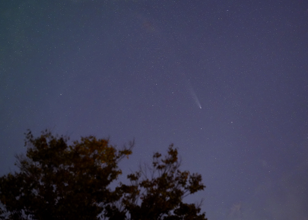 2024.10.30 紫金山・アトラス彗星