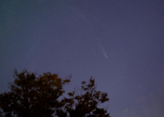 2024.10.30 紫金山・アトラス彗星