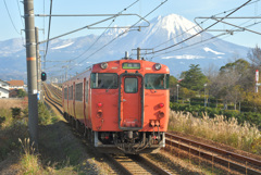 タラコ列車と名峰大山
