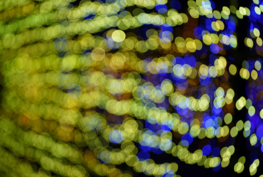 由志園イルミネーション