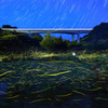 せせらぎ公園の夜