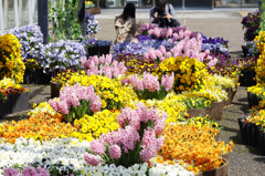 春の花回廊