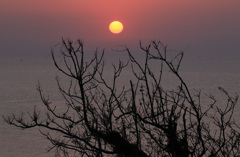 ハワイ馬ノ山夕暮れ