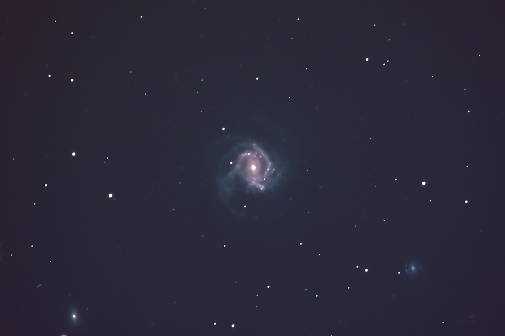 M61