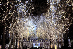 フラワーイルミネーション2025