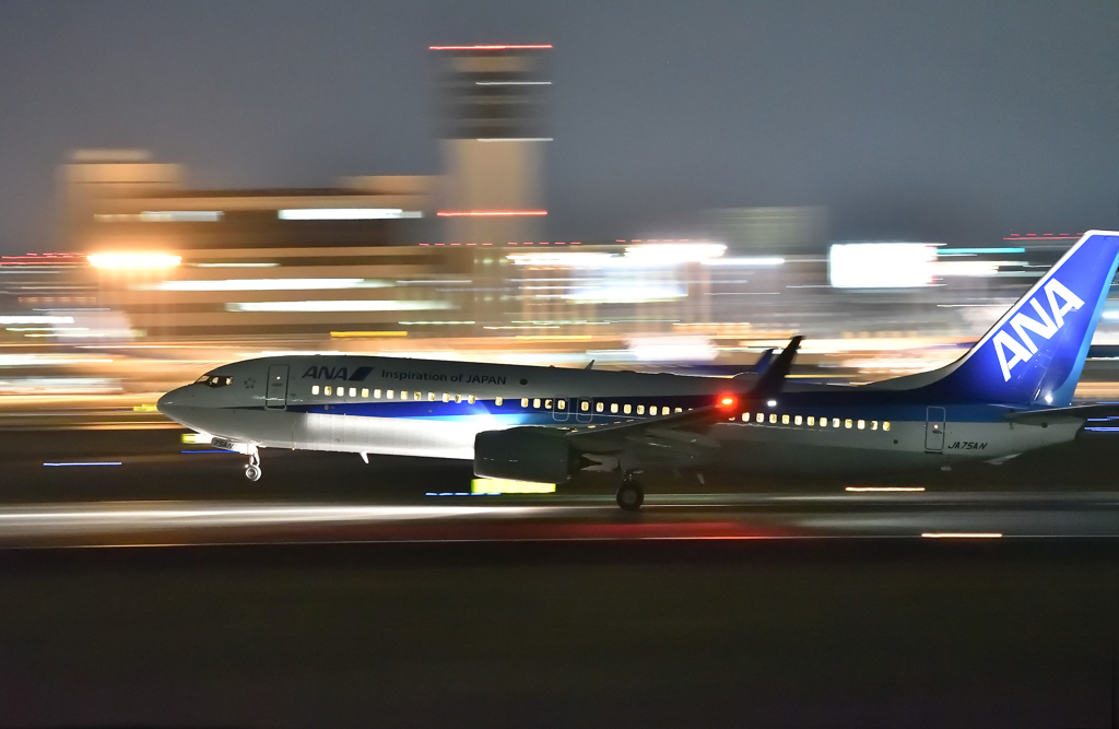 夜のスカイパーク