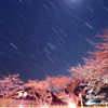 豊房の桜と沈むオリオン座