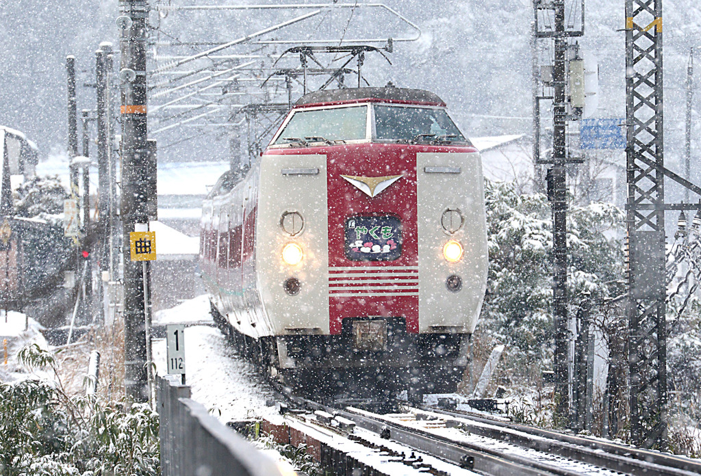 雪のやくも・381系