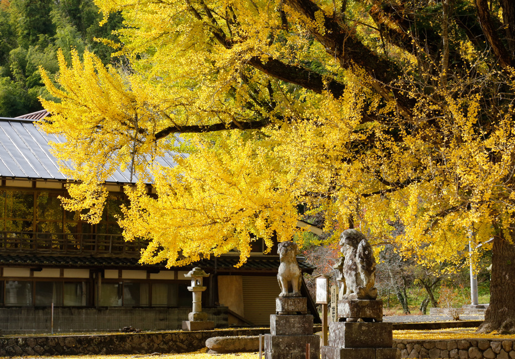 晩秋の福田神社