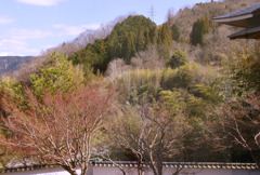 新見美術館にて