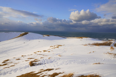 雪の鳥取砂丘