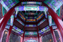 燕趙園 上昇輝龍2025