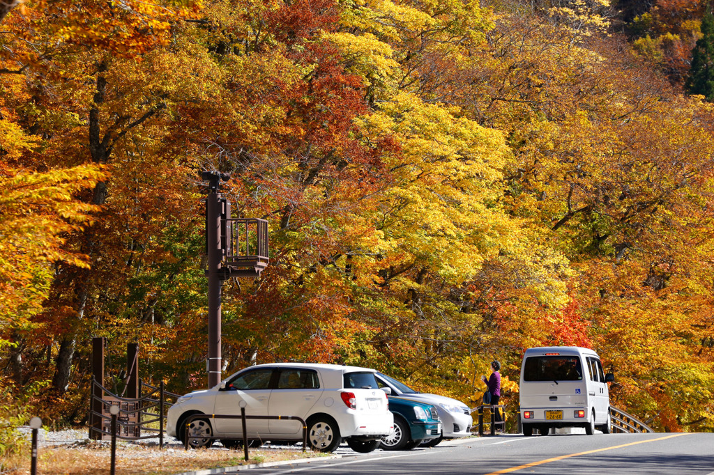大山三ノ沢紅葉